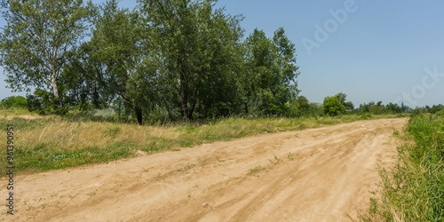 Rural dirt road with green trees under clear blue sky: a serene countryside landscape photo