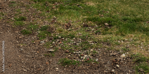 Gravel path with green grass and small stones in natural outdoor setting