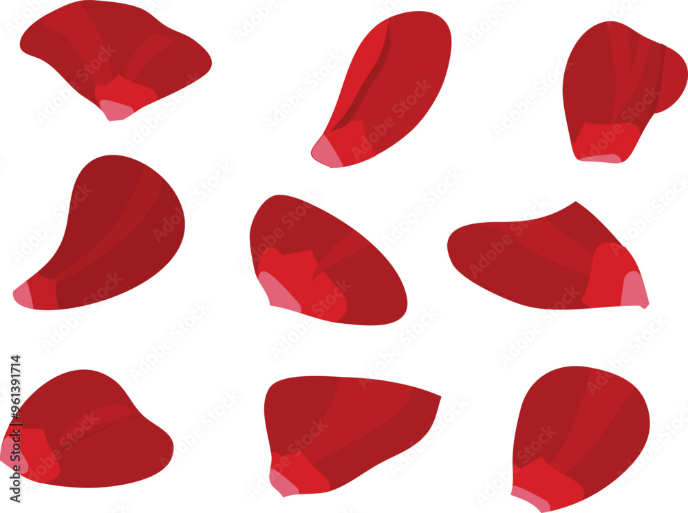 rose petals set clipart or illustration isolated on a transparent background. rose petals set clipart or illustration isolated on a transparent background.