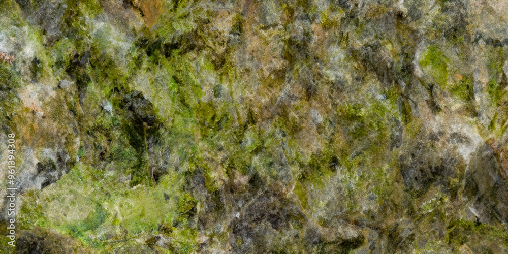 Green and brown mossy rock texture background for natural design projects Green and brown mossy rock texture background for natural design projects