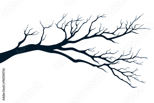 Tree branches silhouette isolated on white background. Vector illustration forest design and element landscape season. Autumn clip art and decoration abstract outdoor