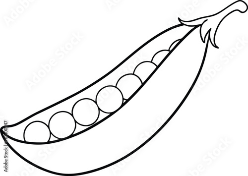 Peas line art vector illustration isolated in white background