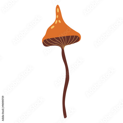 Hand draw autumn mushroom isolated on a white background.Single vector illustration in doodle flat style. Clipart cozy illustrations for print, wrapping, packaging.Forest food.Orange and brown color.