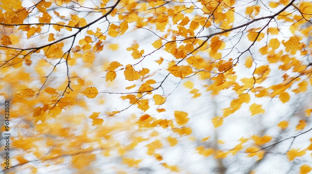 Abstract Autumn Leaves Background  Golden Foliage Swirling in the Wind