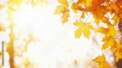 Golden Autumn Leaves with Bokeh Background