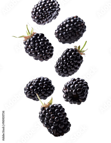 Black falling blackberry berries isolated on transparent