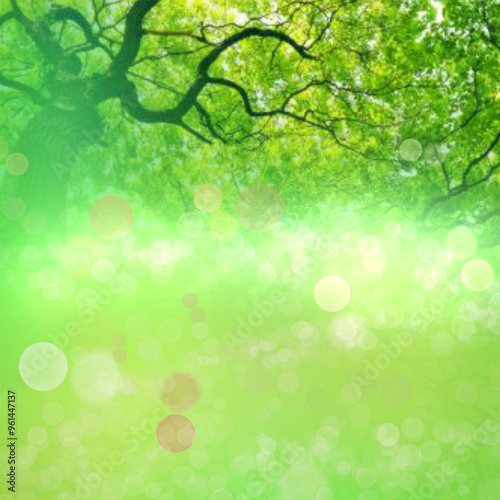 Green texture background, Photos blurred and bokeh under the tree, Fresh nature healthy or bio concept. Abstract blur green.Farming concept on plant forest and environment day of farmer organic leaf