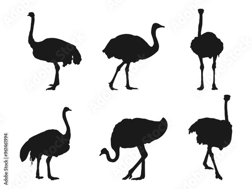 Set of ostrich silhouettes. Black ostrich standing silhouette vector. African animals. Gray African big ostriches in different poses isolated. Vector illustration isolated on the white background. photo