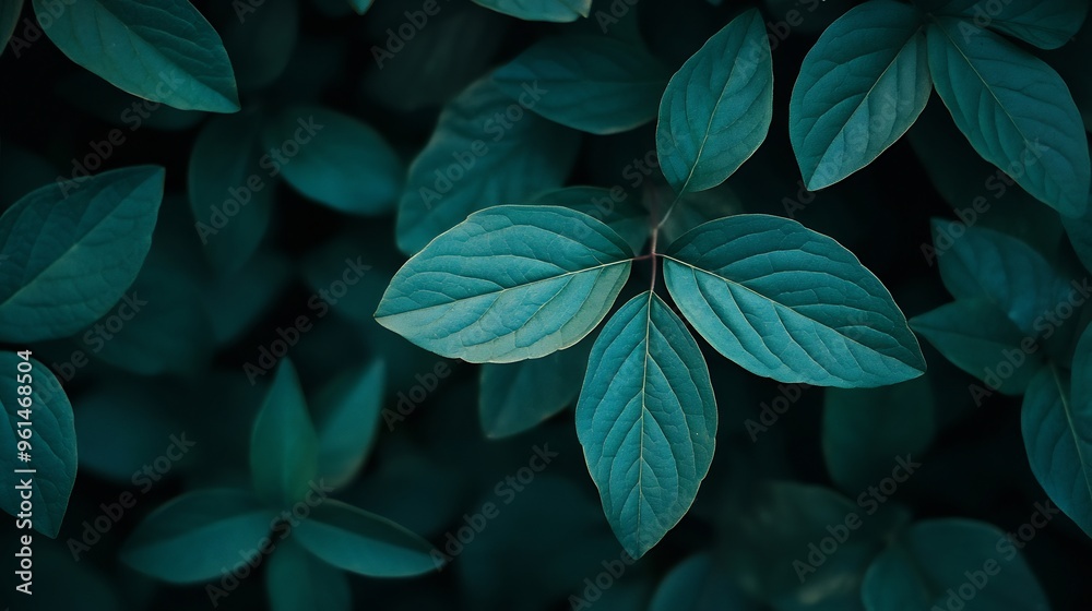 Dark Green Foliage Pattern Dark Green Foliage Pattern