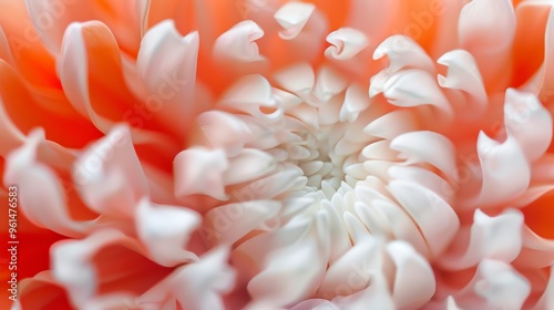  A tight shot of a pink-white bloom, displaying a white stamen at its core