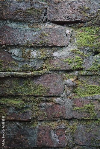 Green moss brick layer closeup view texture background, A bunch of green moss grown on a damaged brick wall, Mossy Weathered backdrop