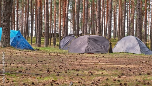 Summer Hiking Camp Tents Pitched Up Among Coniferous Forest Trees  photo