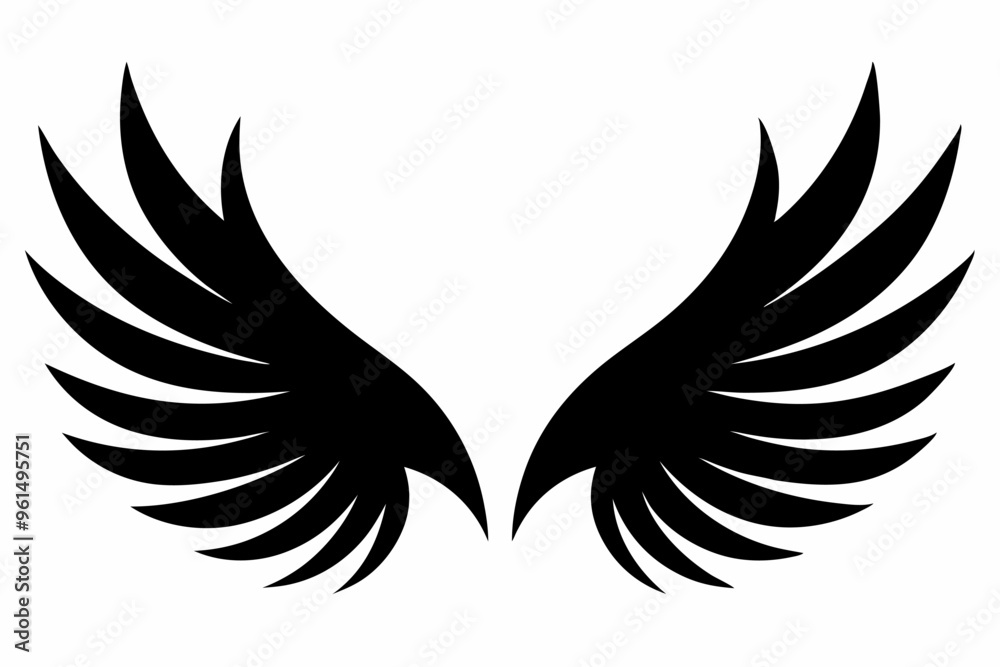 Obraz premium eagle with wings