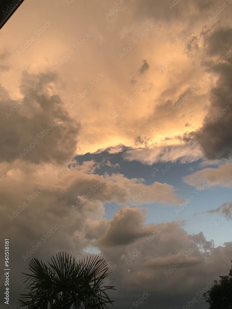 Fototapeta premium sunset in the sky