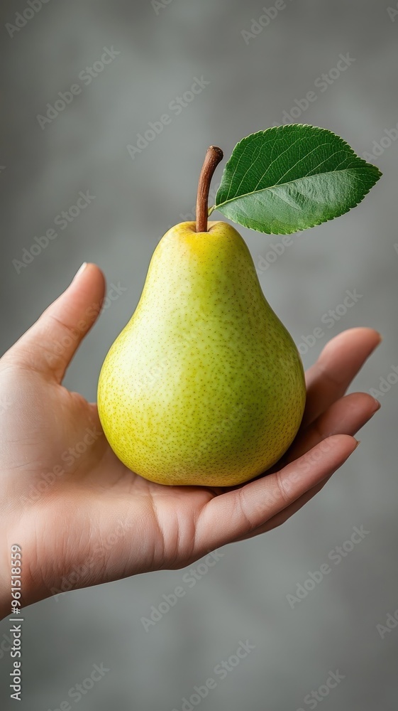 Hand holding a pear, focusing on its smooth texture and subtle green color. Hand holding a pear, focusing on its smooth texture and subtle green color.