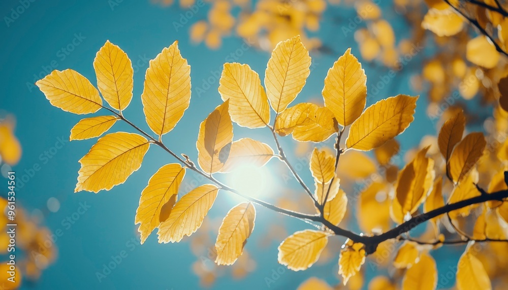 Obraz premium Golden Leaves Against a Blue Sky with Sunbeams