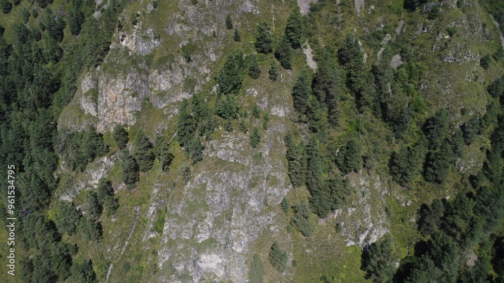 Obraz premium Aerial top view forest tree, Rainforest ecosystem and healthy environment concept and background, Texture of green tree forest view from above