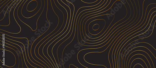 Black topology topography vector abstract design digital background seamless contour map texture territory geography desktop wallpaper and design for print work