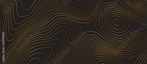 Black topology topography vector abstract design digital background seamless contour map texture territory geography desktop wallpaper and design for print work