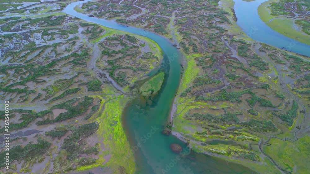 Aerial drone view of the marshes at low tide at sunset in Escalante in the Marismas de Santoña, Victoria y Joyel Natural Park. Cantabrian Sea. Santoña, Cantabria, Spain, Europe Aerial drone view of the marshes at low tide at sunset in Escalante in the Marismas de Santoña, Victoria y Joyel Natural Park. Cantabrian Sea. Santoña, Cantabria, Spain, Europe