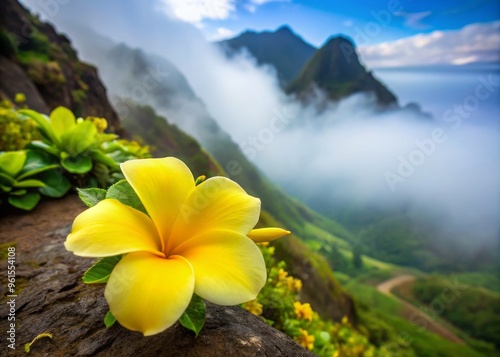 Vibrant yellow ilima flower blooms on the slope of a misty Hawaiian mountain, petals delicately curved like a woman's fingers. photo