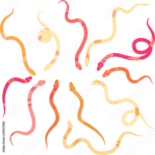 Colored snakes with a pattern on the back and head. Everything is in warm colors - just for girls. Vector illustration