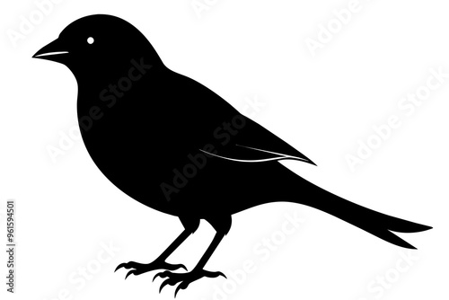 Canary bird silhouette black color vector art illustration photo