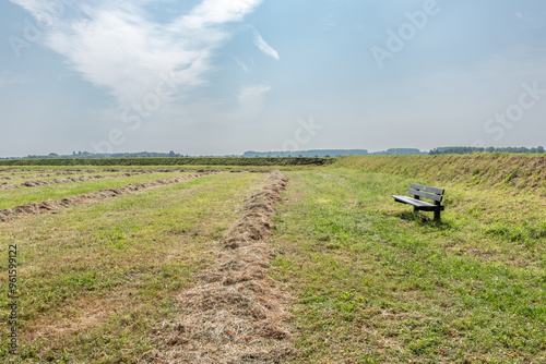 lonely bench between meadows in the netherlands