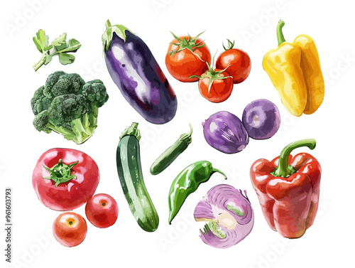 Watercolor set of fresh vegetables. Hand drawn illustration with fresh, colorful vegetables isolated on white background