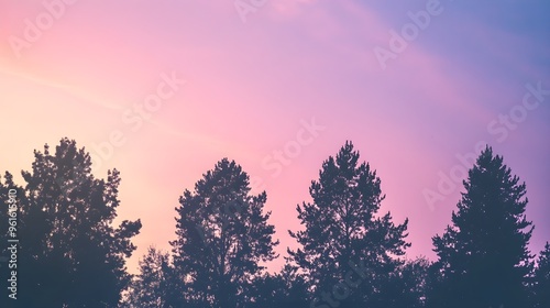 Silhouettes of trees against a breathtaking sunset, showcasing a gradient sky filled with soft pastels, with ample copy space for text or branding photo