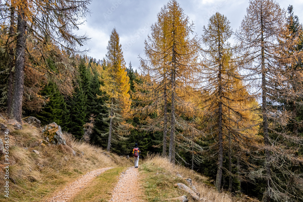 Escursione a San Martino di Castrozza