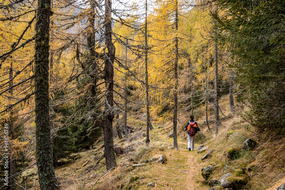 Escursione a San Martino di Castrozza