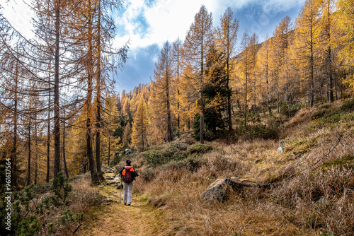 Obraz na płótnie Escursione a San Martino di Castrozza w salonie