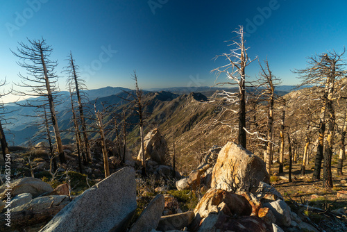 A mountain range with a few trees and rocks