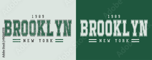 Retro college varsity font typography, Varsity vintage vector graphic, Brooklyn New York 1989 slogan print for fashion tee and t-shirt, sweatshirt, and hoodie. 
