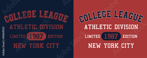 Retro college varsity font typography, Varsity vintage vector graphic, College league Athletic division New York city slogan print for fashion tee and t-shirt, sweatshirt, and hoodie. 