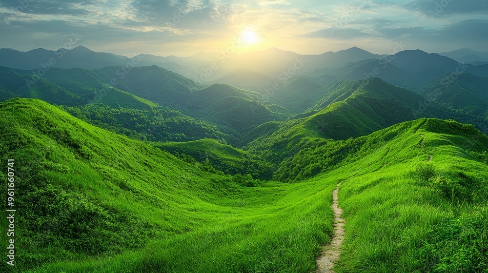 Lush green hills bathed in golden sunlight at dawn in a tranquil mountainous landscape Lush green hills bathed in golden sunlight at dawn in a tranquil mountainous landscape
