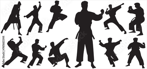 Karate vector For Print, Karate Clipart, Karate vector