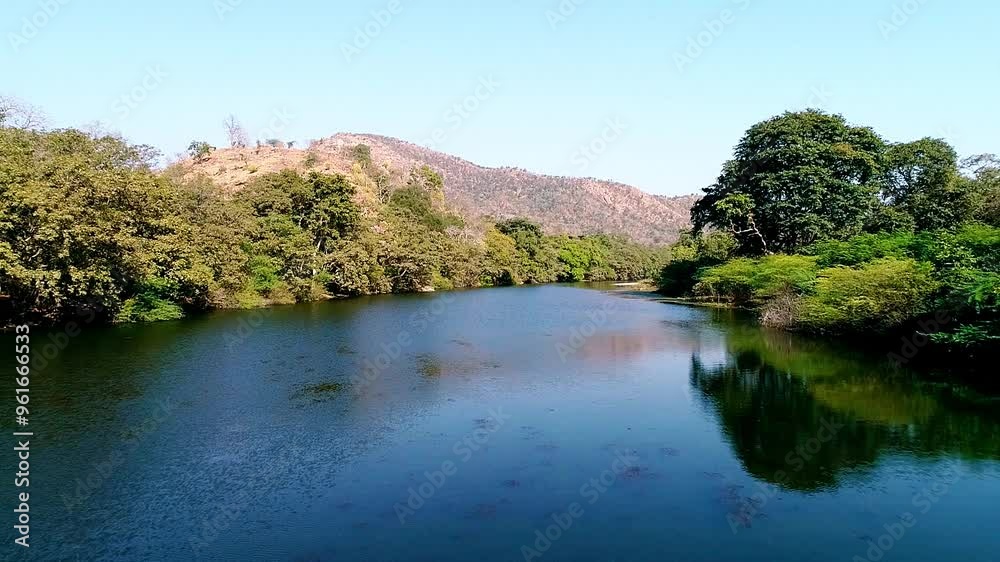 Turquoise water in a mountain forest lake with pine trees. Aerial view of blue lake and green forests Turquoise water in a mountain forest lake with pine trees. Aerial view of blue lake and green forests