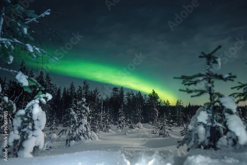 Fotografie Northern lights in night sky over snowy forest outside of Rovaniemi, Lapland