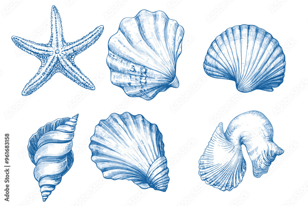 Fototapeta premium Minimalist hand drawn seashells vector illustration collection. Art for greeting cards, wedding invitations, poster design, postcards, branding, logo design, background