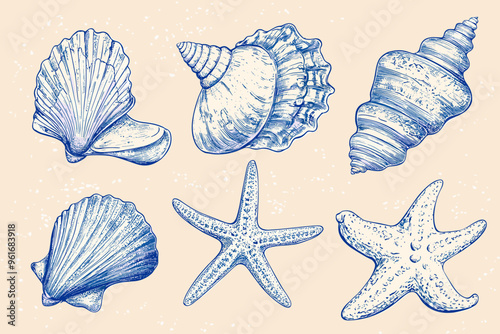 Minimalist hand drawn seashells vector illustration collection. Art for greeting cards, wedding invitations, poster design, postcards, branding, logo design, background