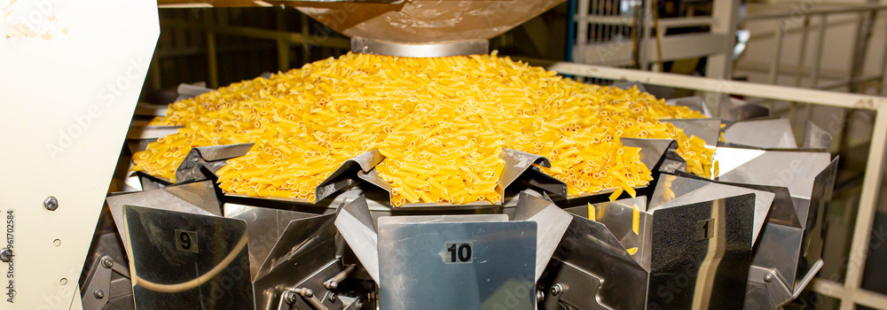 Pasta factory. Close-up of raw pasta on machines and conveyor. Pasta ...