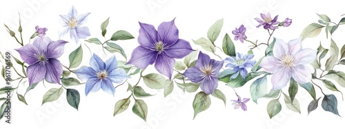 Stunning Watercolor Illustration of Clematis Flowers with Delicate Leaves and Vibrant Colors