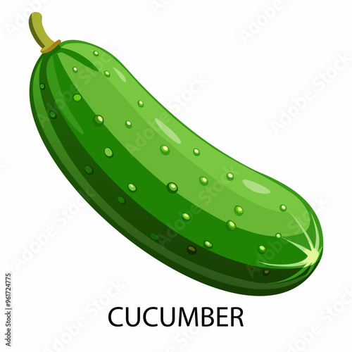 Cucumber  in cartoon style on a white background. Vector illustration.