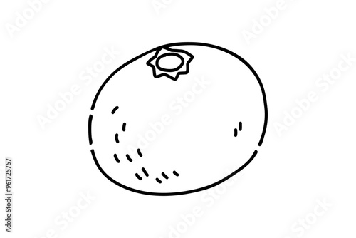 シンプルな蜜柑の線画イラスト