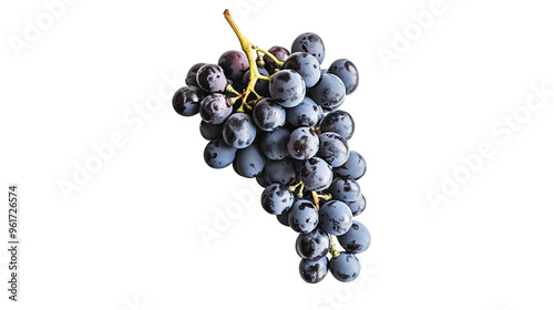 cluster of grapes isolated on transparent background photo