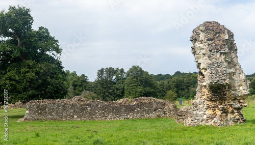 The Ruins of Waverley Abbey