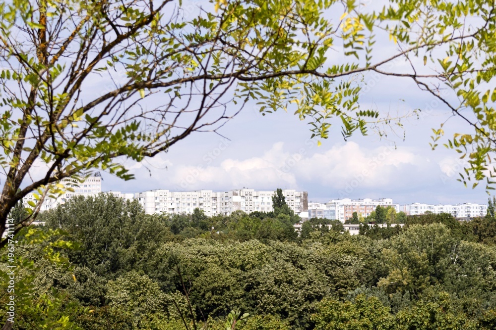 City Buildings Against the Background of the Forest