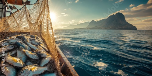 fishing boat in net fish catch photo